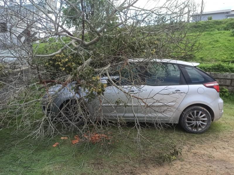 Árvore cai em cima de carro estacionado em Imaruí 