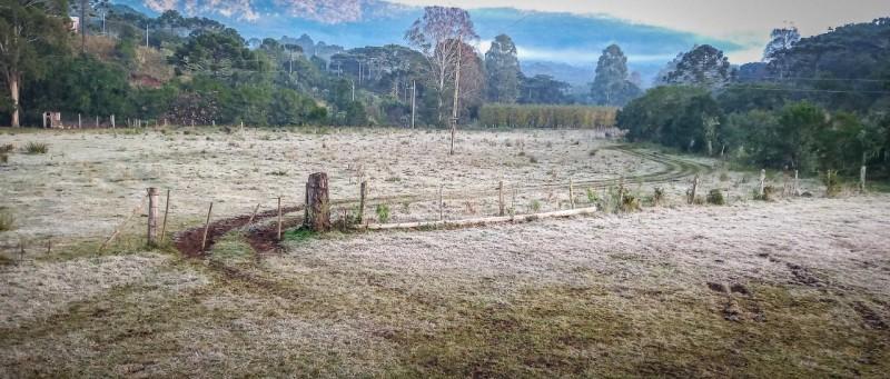 Serra catarinense registra geada ao amanhecer e temperatura de -1,5°C