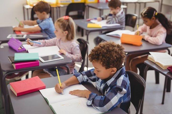 Bolsas de estudo estão disponíveis para escolas particulares do Estado 