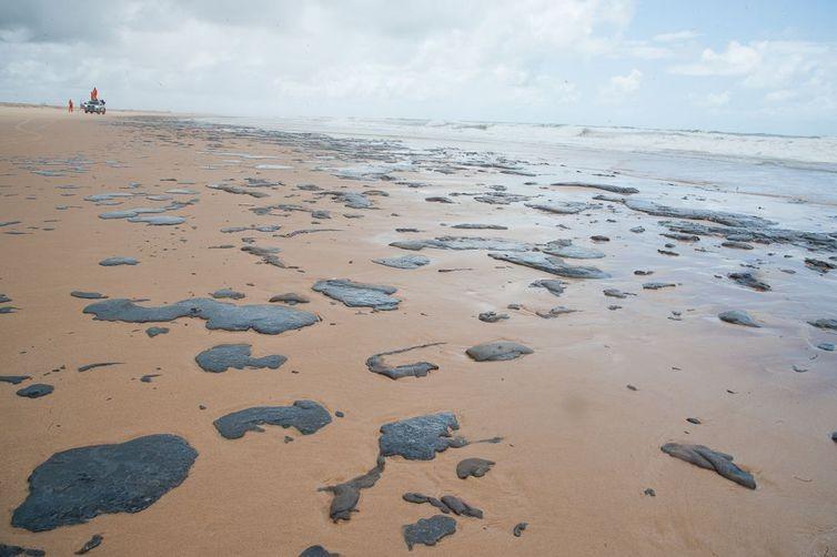 “É possível, mas não é provável”, diz oceanógrafo sobre óleo do Nordeste chegar a SC