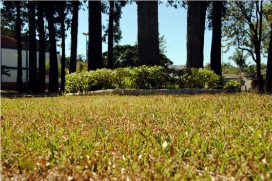Praça da Chaminé é revitalizada na Próspera