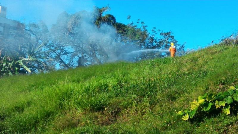 Bombeiros combatem três incêndios em vegetação em Criciúma 