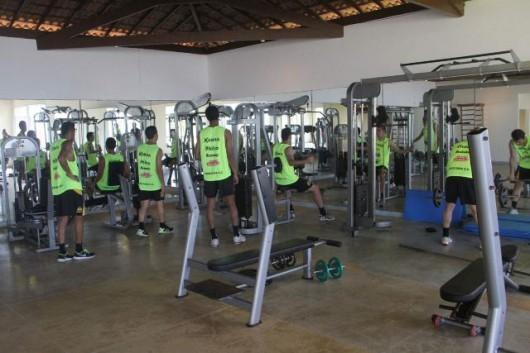 Tigre faz trabalho regenerativo na Bahia