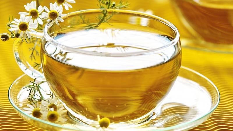 Unesc receberá Jornada Catarinense de Plantas Medicinais