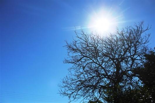 Criciúma registra sensação térmica de 50 graus neste domingo