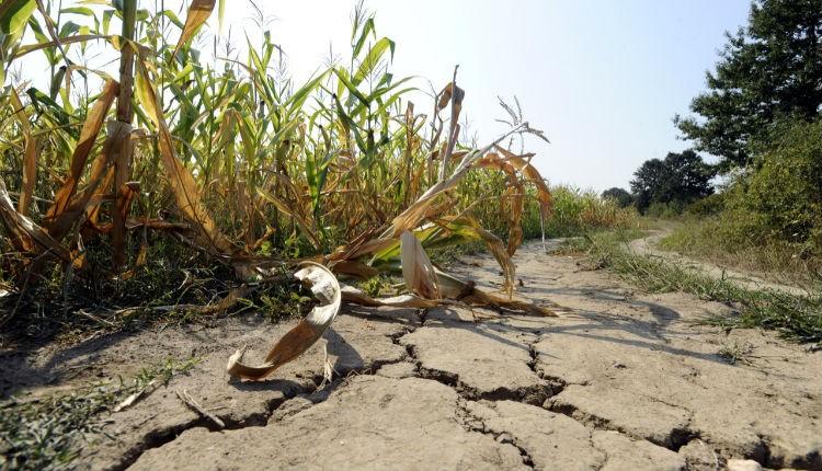 Com estiagem, Criciúma liga o alerta para o uso consciente de água