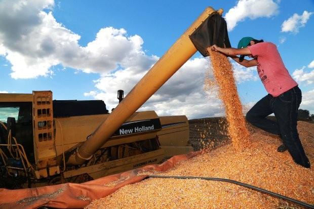 Agroindústrias catarinenses pedem apoio ao governo federal 