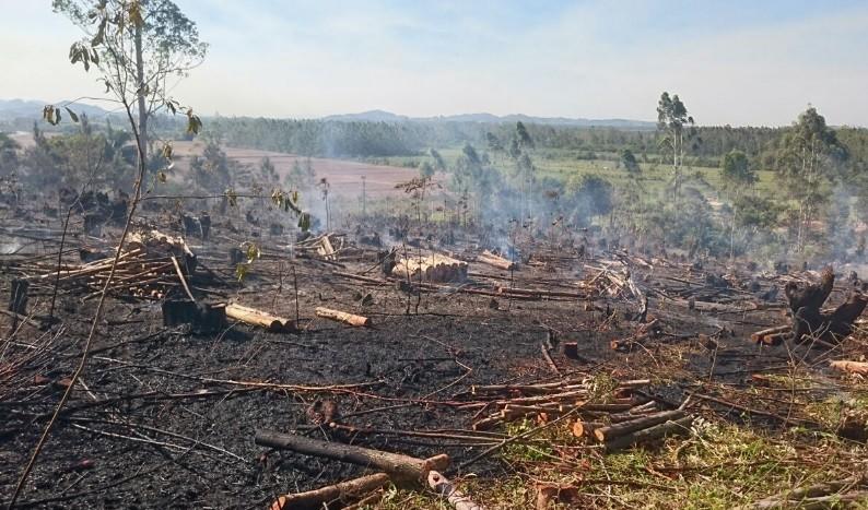 Fogo consome dois hectares de mata em Sombrio