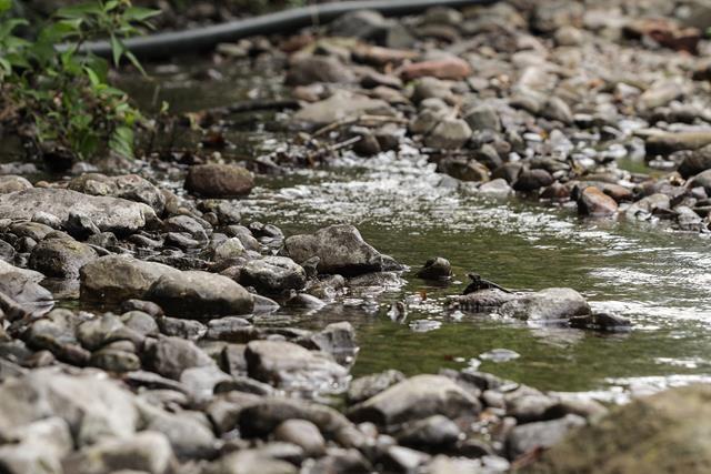 Com baixo volume de chuva, água começa a faltar na região
