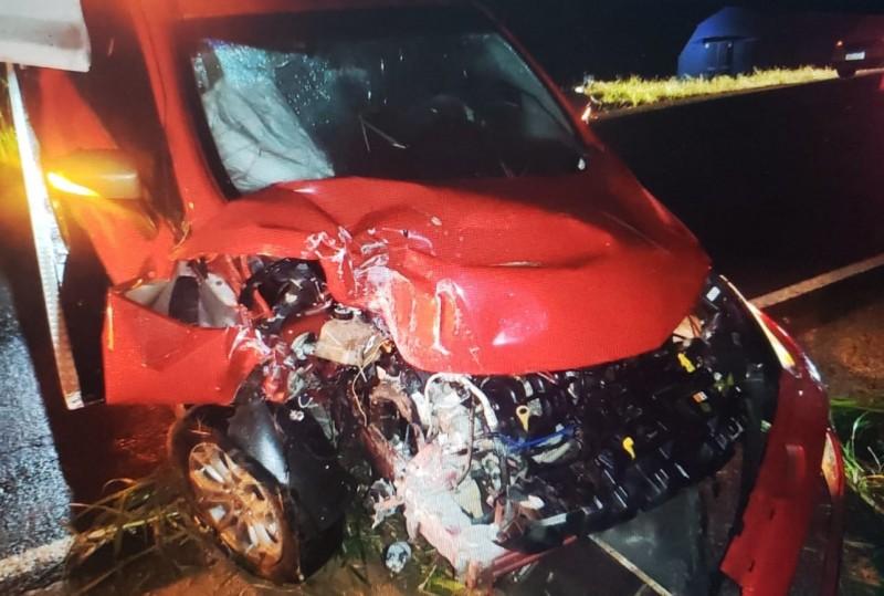 Gravatal: vaca invade rodovia e provoca acidente envolvendo dois carros na SC-370
