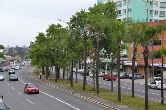 Canteiros da Centenário em reforma até 2012
