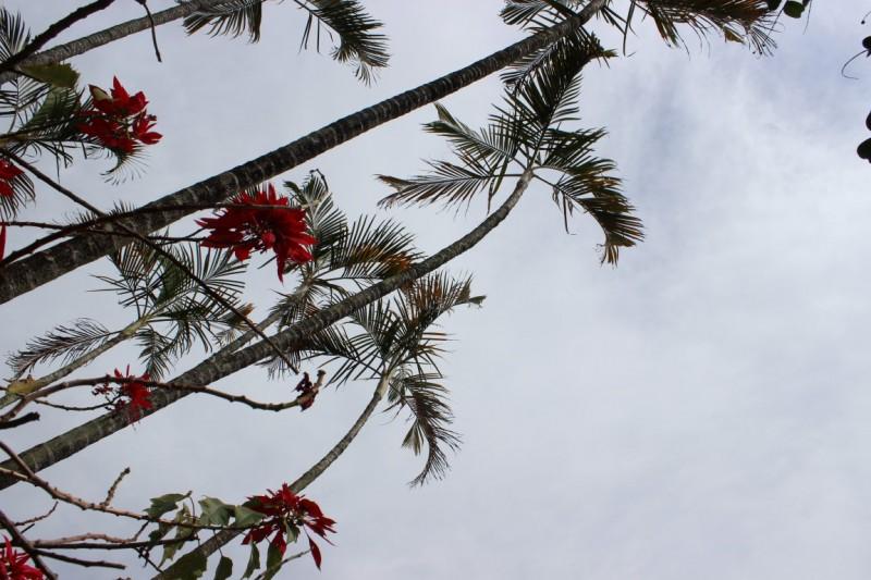 Frio retorna nesta primeira semana de novembro