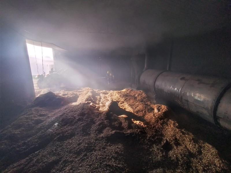 Galpão usado para produção de cepilho pega fogo em Araranguá