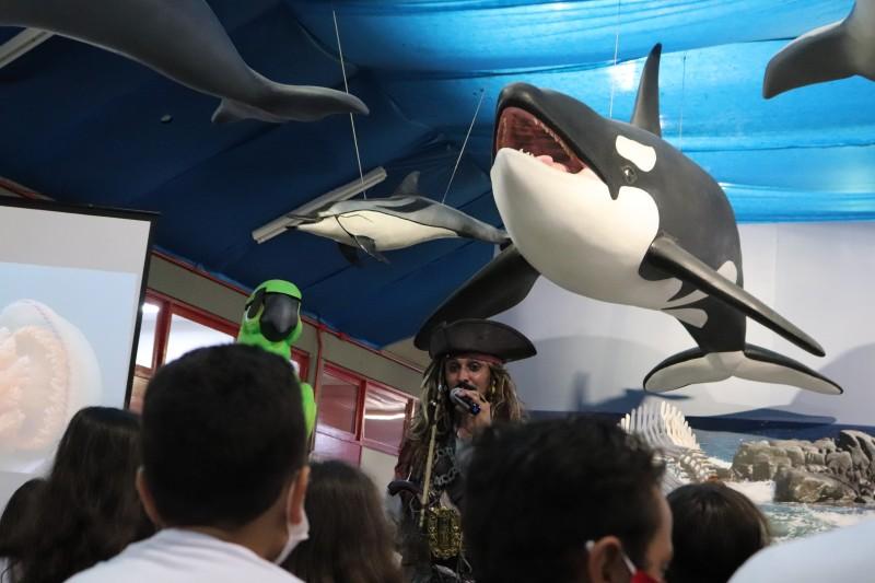 Museu de Zoologia da Unesc celebra 20 anos com programação especial