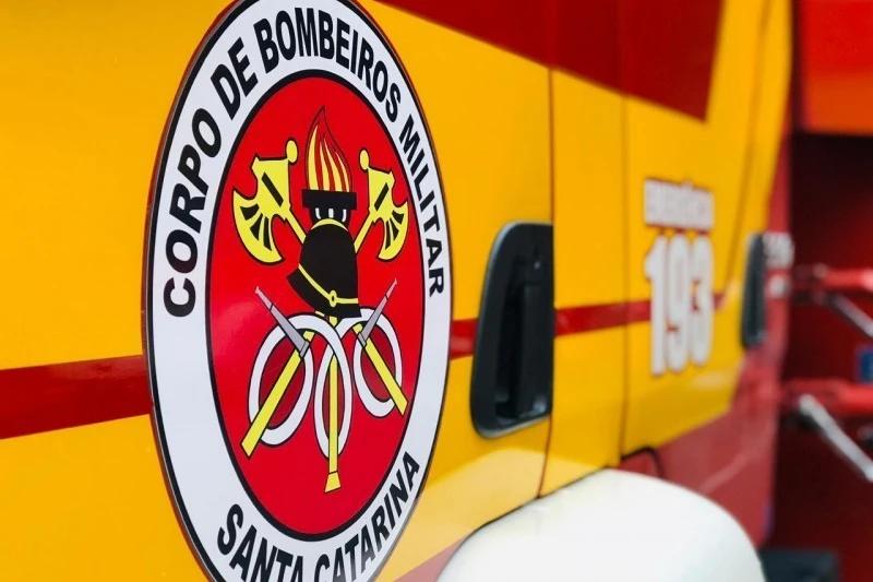 Idoso é atacado por abelhas e socorrido pelo Corpo de Bombeiros