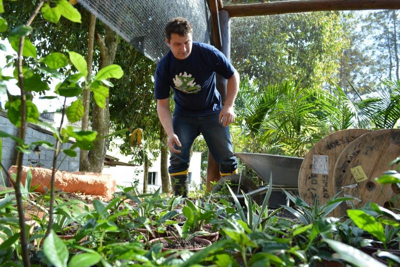 Horto florestal de Urussanga inicia atividades