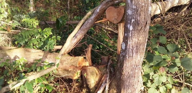 Com apoio do Saer, Famcri e IGP identificam crimes ambientais em Criciúma