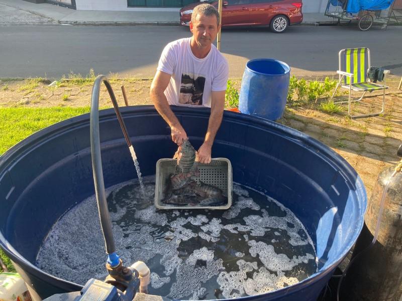 Continua a Feira do Peixe Vivo nesta sexta-feira em Içara  