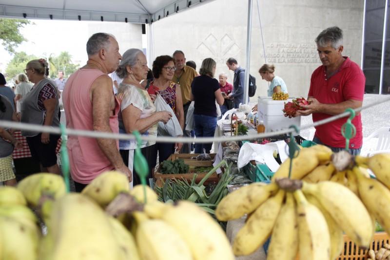 Feira da Agricultura Familiar pode voltar presencialmente no mês de junho