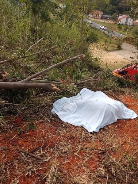 Trabalhador morre após ser atingido por uma árvore