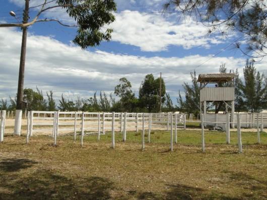 Balneário Rincão recebe 5ª Festa Campeira