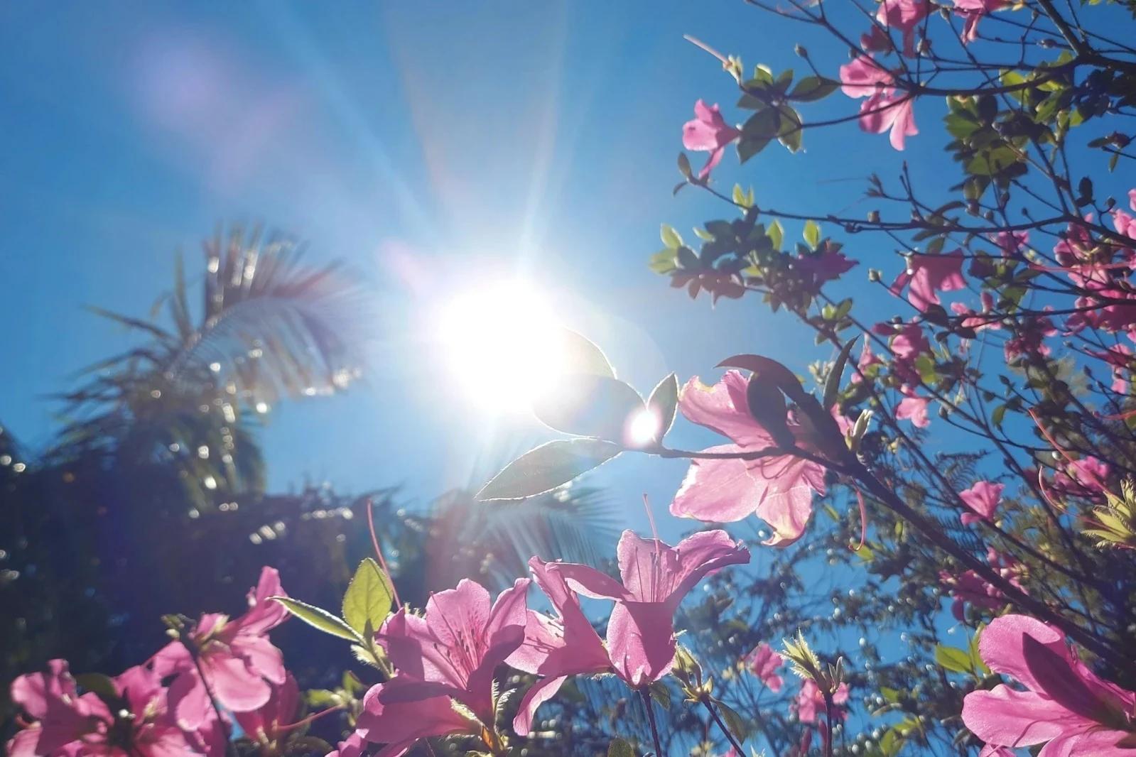 Última semana do Verão será com sol e chuva no Sul de Santa Catarina