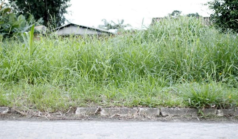 Proprietários de lotes abandonados são autuados em Criciúma