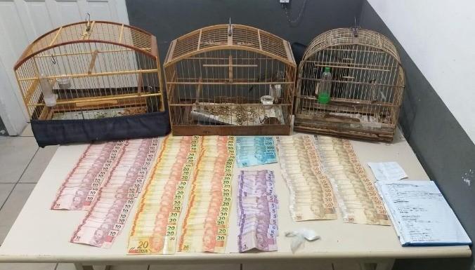 Polícia apreende porções de cocaína e pássaros silvestres em Nova Veneza 