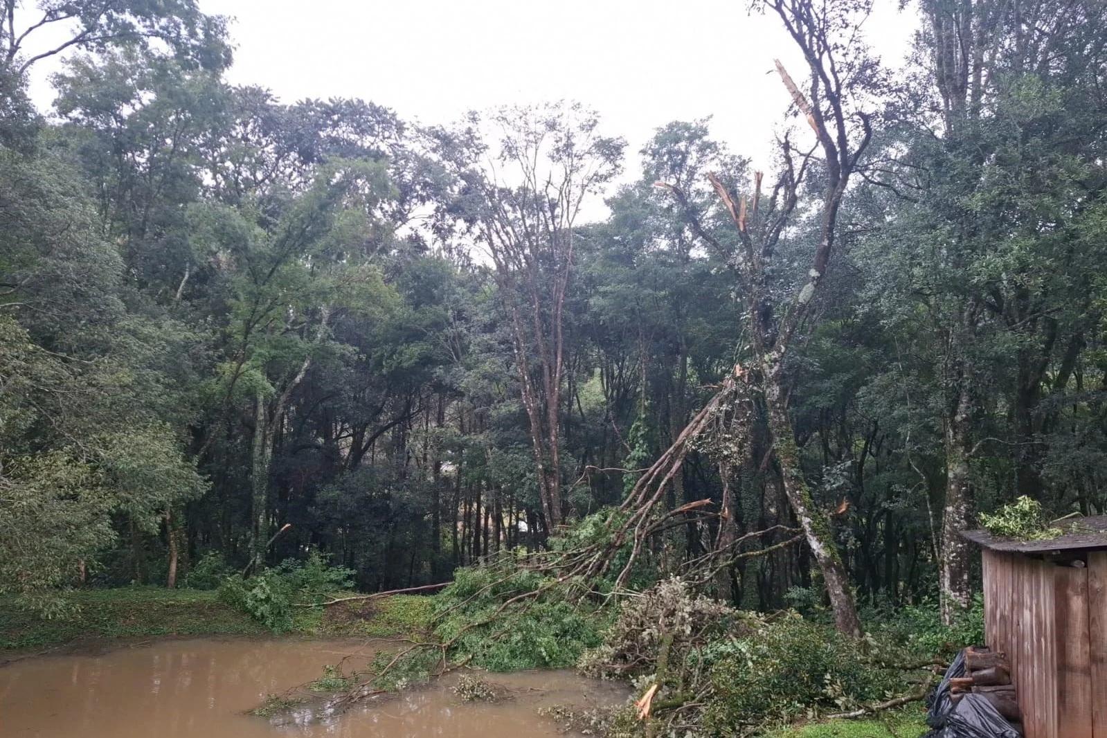 Defesa Civil avalia possível tornado após tempestades severas em regiões de SC