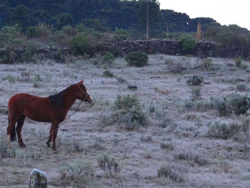 Temperaturas voltam a ficar negativas em Urupema