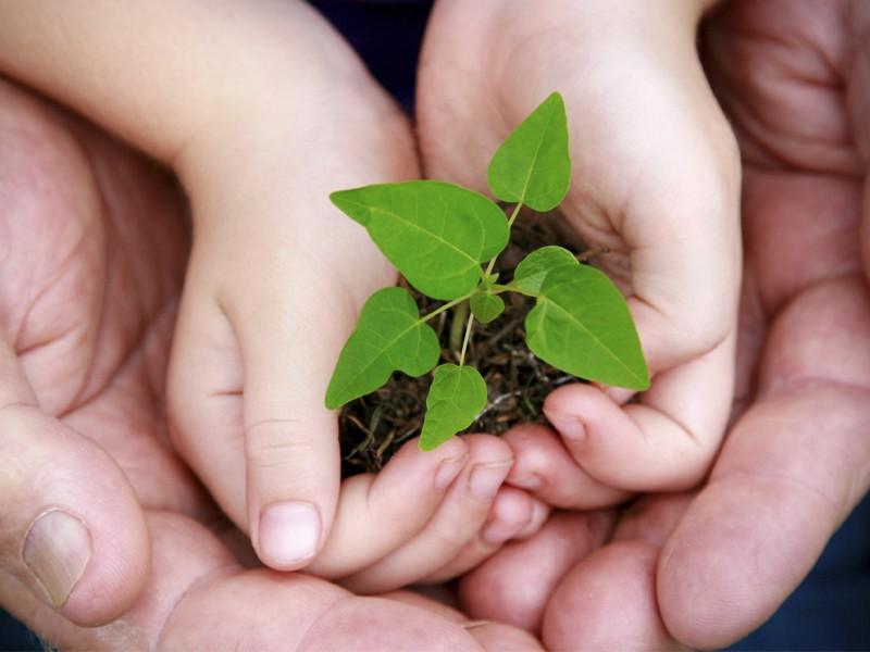 Treviso inicia Semana do Meio Ambiente nesta quinta-feira