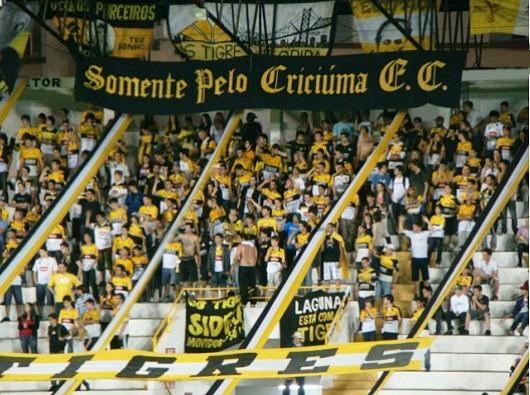 Os Tigres promovem caravana para Ibirama