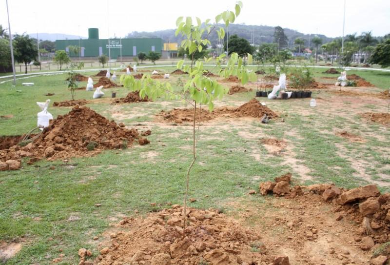  Parque das Nações ganha pomar de árvores frutíferas
