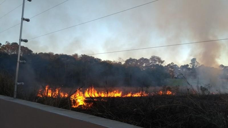 Incêndio de grandes proporções atinge vegetação e chama a atenção 