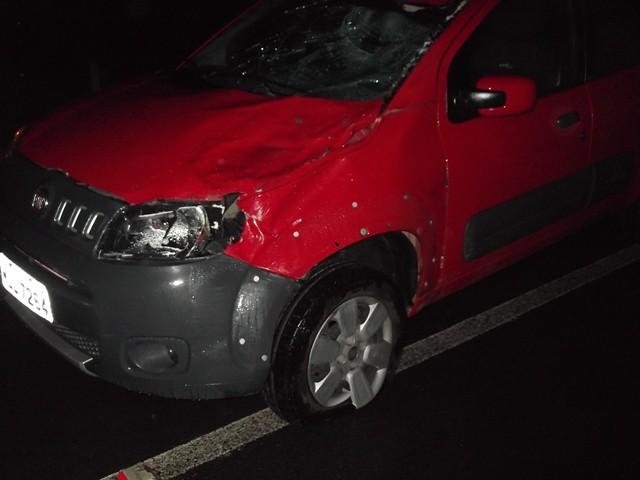 Animal na pista: Carro colide contra cavalo