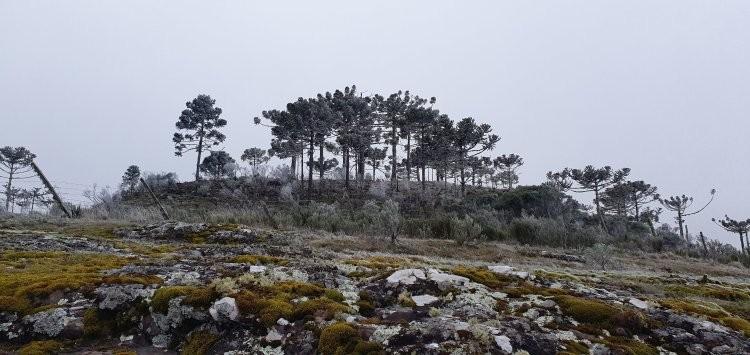 Mínima na região Sul do país será de -4ºC neste domingo 
