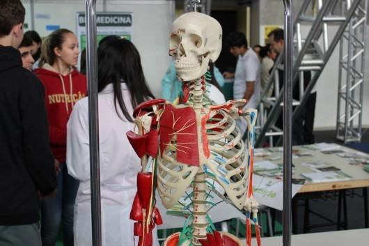 Feira das Profissões reúne centenas de estudantes na Unesc 