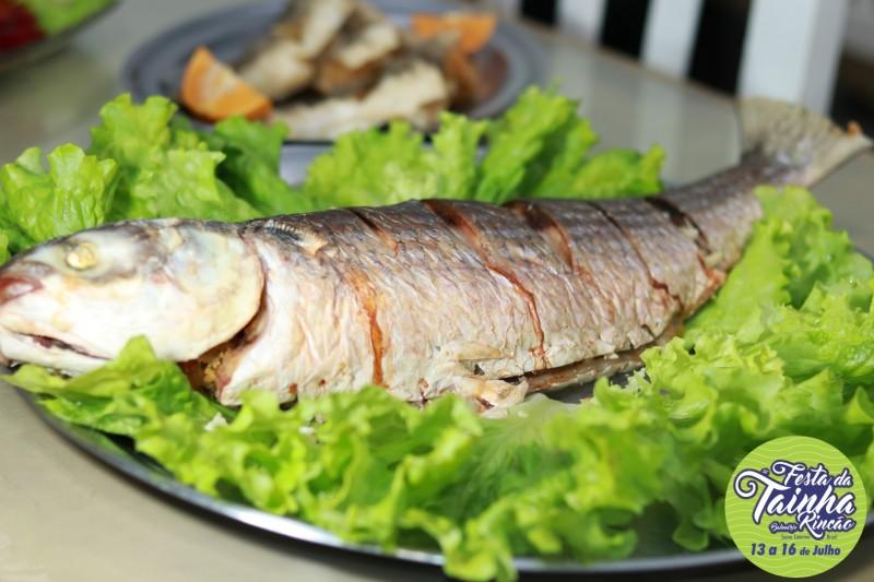 Festa da Tainha terá mega estrutura, gastronomia farta e acessível