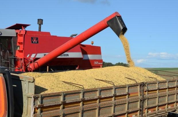Safra de grãos deve ser recorde em 2021, diz IBGE