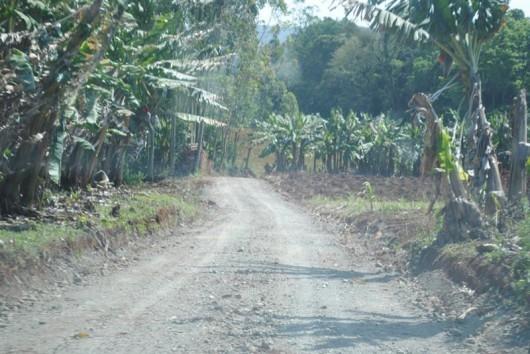 Reaberta estrada São Martinho Alto a São Martinho Baixo