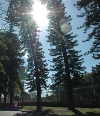 Chuva ameniza no fim de semana e o sol aparece no domingo
