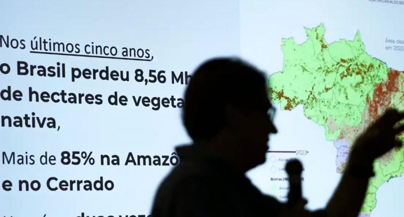 Brasil já perdeu 33% das áreas naturais de seu território