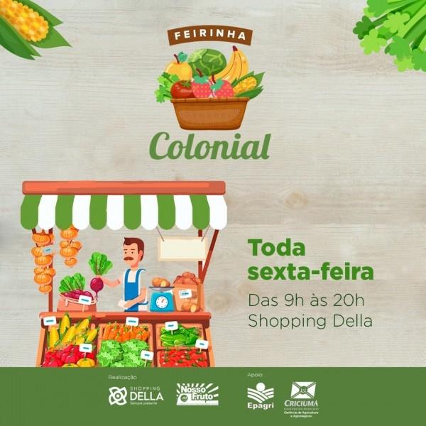 Produtos da agricultura familiar ganham espaço no centro de Criciúma