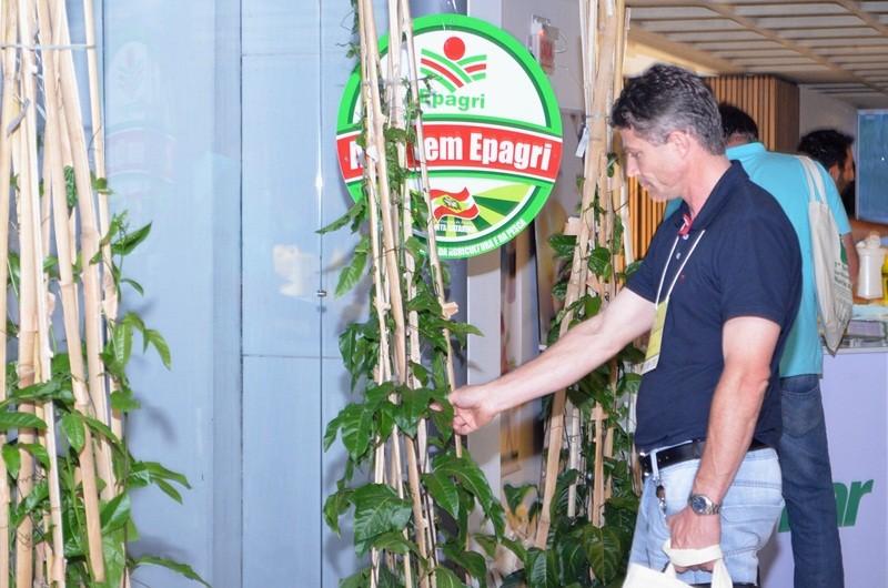 Seminário sobre Maracujazeiro reúne mais de 250 participantes
