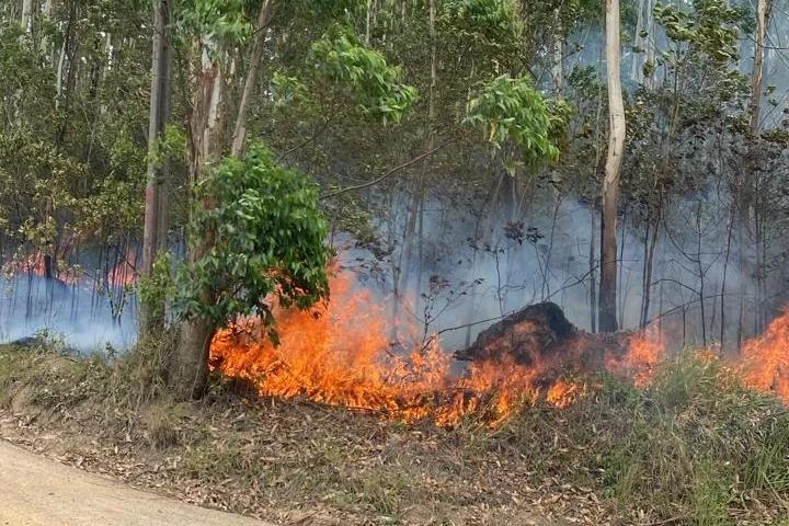 Bombeiros utilizam aproximadamente 10 mil litros de água para combater incêndio em vegetação
