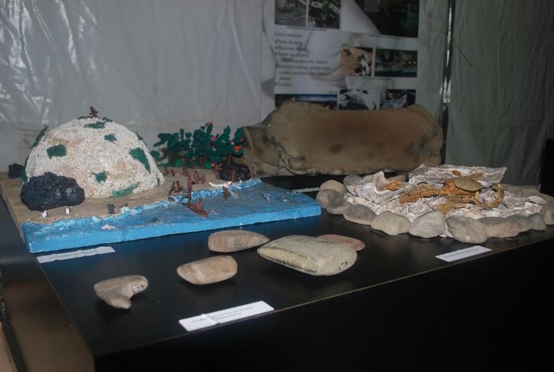 Estudantes exploram o mundo arqueológico
