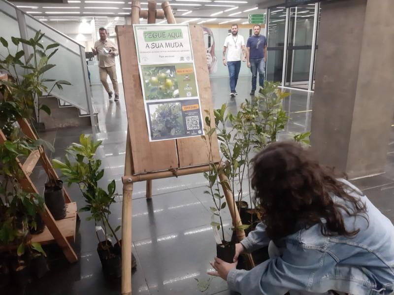 Diretoria de Meio Ambiente de Criciúma promove ação 'Chás no Paço'