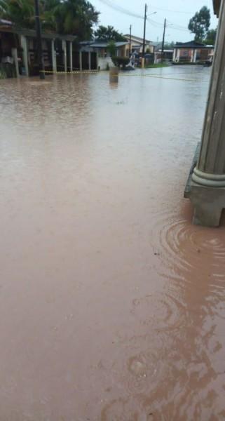 Chuva intensa causa alagamentos em Criciúma; Rio Maina registrou 65 milímetros em 45 minutos
