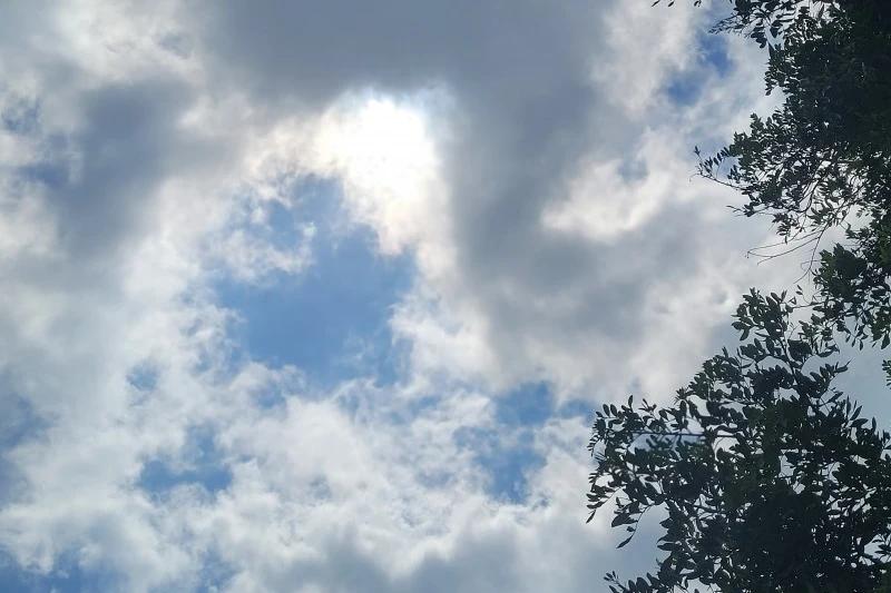Primeiro dia de dezembro terá sol entre nuvens em Criciúma