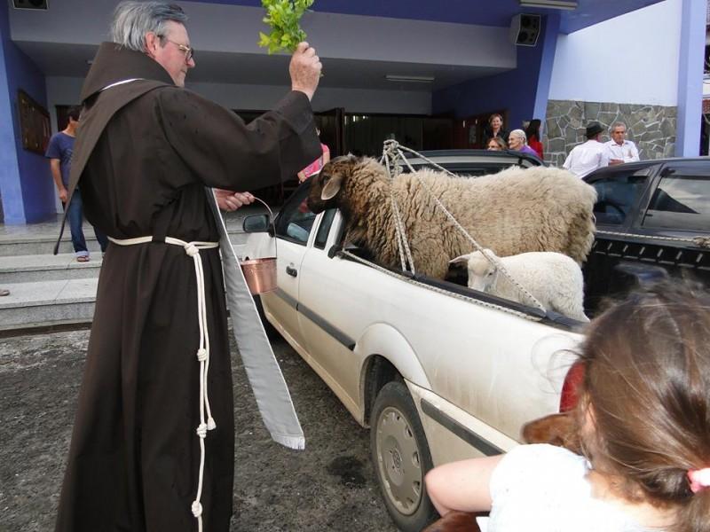 Paróquia em Forquilhinha celebra bênção de animais 